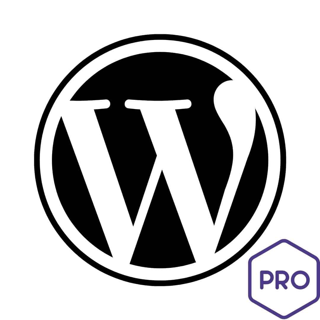 Sans titre (7) agence expert wordpress professionnel