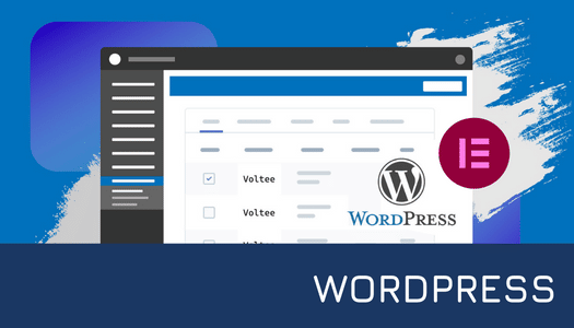 WordPress Pro